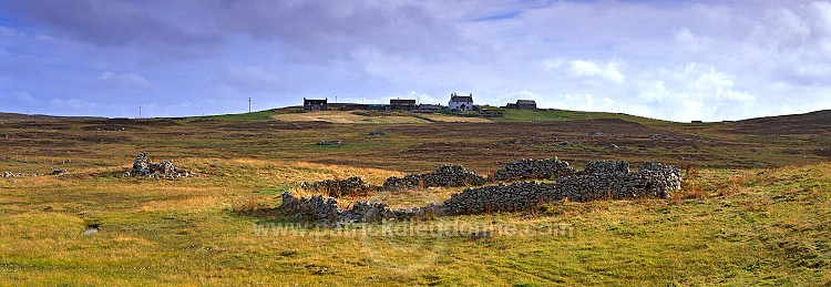 Ruins, croftland and houses at Greenland, W. Mainland - Champs et Maisons à Greenland  13475