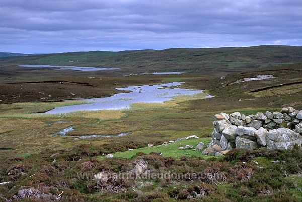 West Mainland scenery, Shetland - Paysage de West Mainland, Shetland  13462