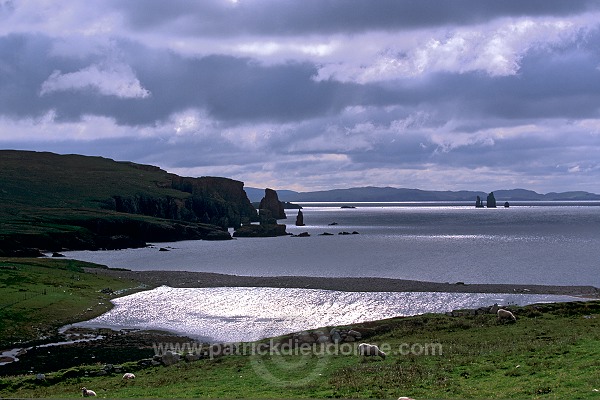 Brae Wick and The Drongs, Shetland -  Baie de Brae et Drongs  13517