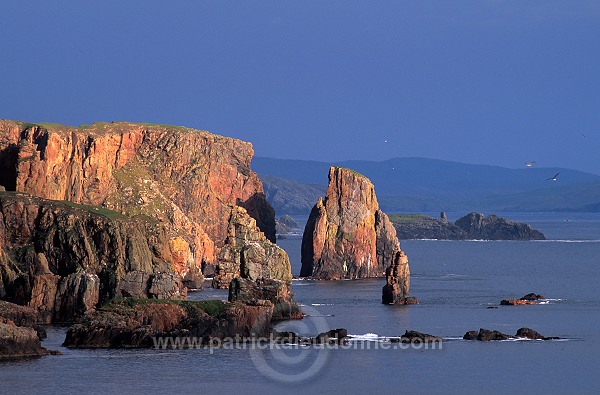 Stoura pund cliffs and stacks, Eshaness, Shetland - Falaises de Stoura Pund 13522