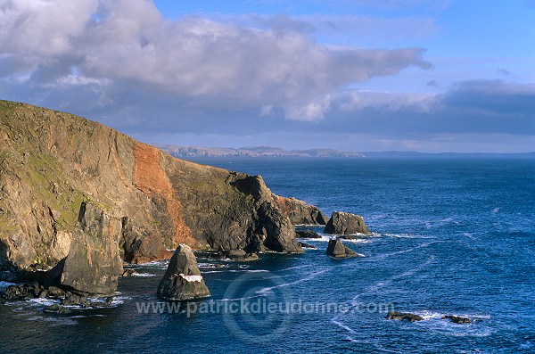 Ness of Hillswick, Eshaness, Shetland -  13543