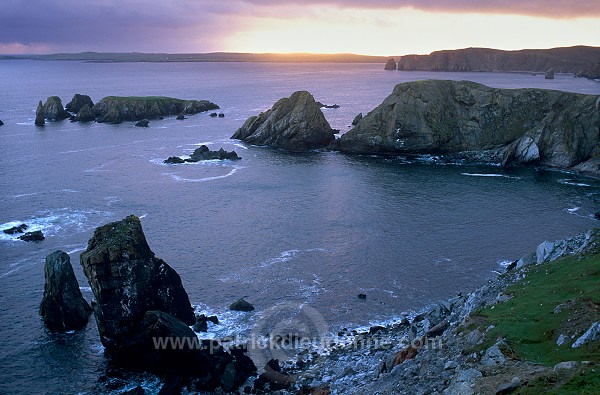 Ness of Hillswick west coast, Northmavine, Shetland -  Pointe d'Hillswick  13549