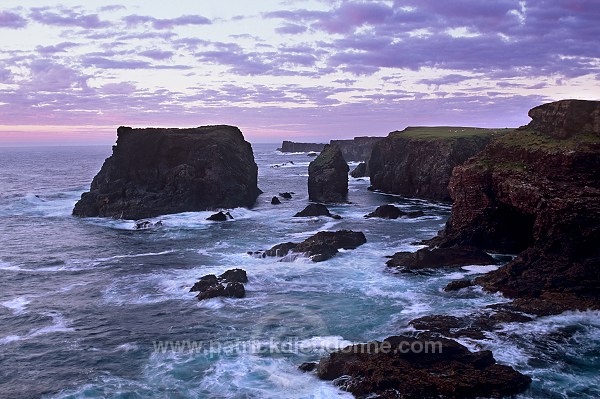 Eshaness basalt cliffs, Eshaness, Shetland -  Falaises basaltiques d'Eshaness  13599