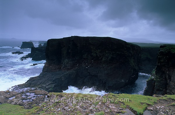 Eshaness basalt cliffs, Shetland, Scotland. -  Falaises basaltiques d'Eshaness  13601