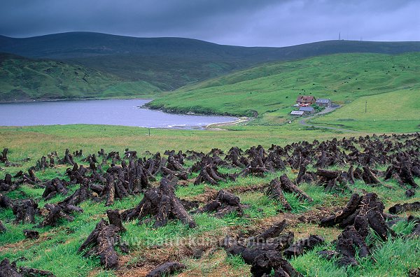 Northmavine: peat drying, Shetland - Tourbe séchant, Shetland  13614