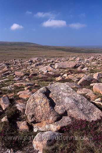 Northmavine: Ronas Hill (450 m), Shetland - Ronas Hill, 450 m  13628