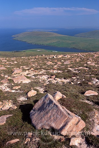 Northmavine: Ronas Hill (450 m), Shetland - Ronas Hill  13631