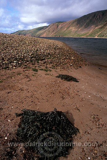 Northmavine: Ronas Voe from Heylor, Shetland - Le fjord de Ronas Voe  13641