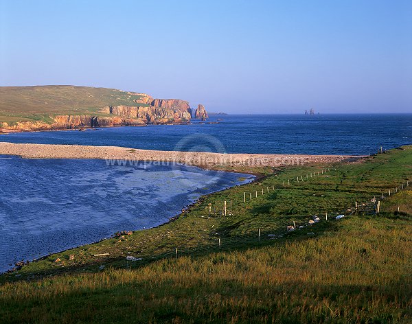 Brae Wick and The Drongs, Eshaness, Shetland -  Baie de Brae et Drongs  13592