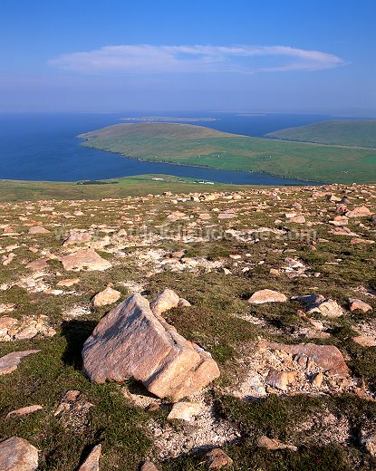 Northmavine: Collafirth Hill (450 m), Shetland - Collafirth Hill 13658