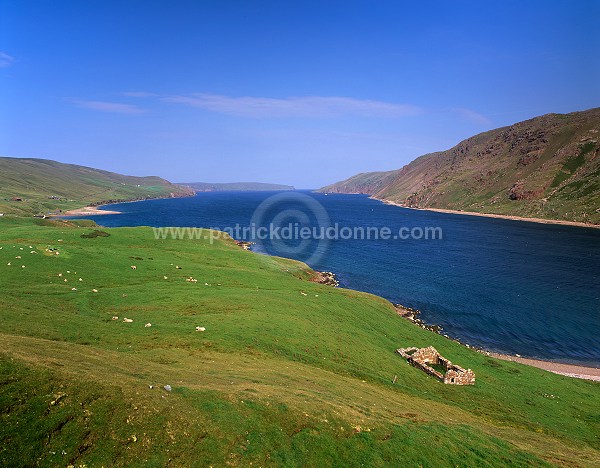 Ronas Voe, Northmavine, Shetland - fjord de Ronas Voe, Shetland  13659