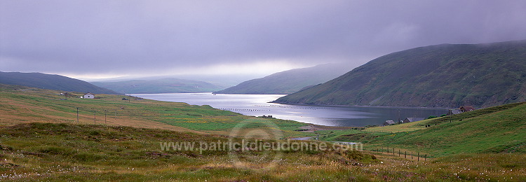 Ronas Voe and Ronas Hill (450 m), Northmavine, Shetland - fjord de Ronas Voe 13665