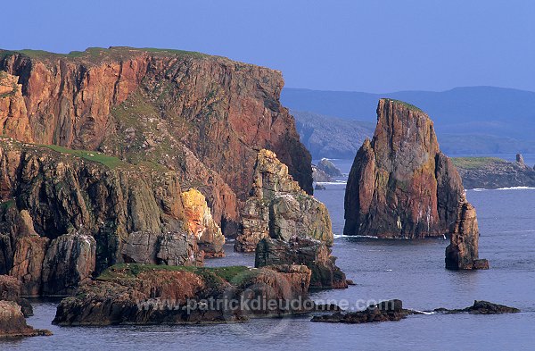 Stoura pund cliffs and stacks, Eshaness, Shetland - Falaises de Stoura Pund  13531