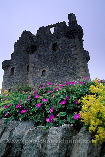 Scalloway castle, Shetland - Le château de Scalloway, Shetland 13669
