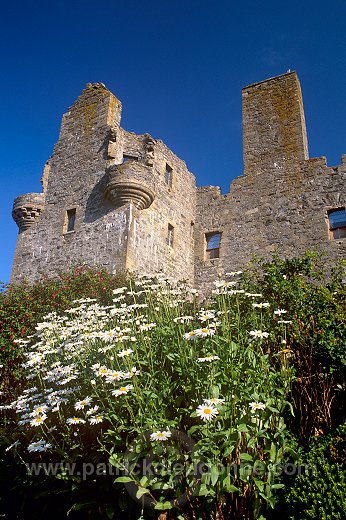 Scalloway castle, Shetland - Le château de Scalloway, Shetland 13672