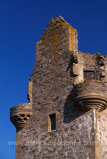 Scalloway castle, Shetland - Le château de Scalloway, Shetland  13673