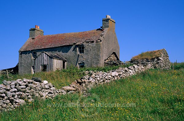 Old ruined house, Fetlar, Shetland, Scotland  - Maison en ruine, Fetlar  13734