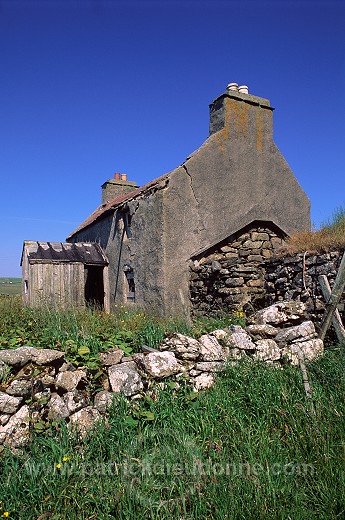 Old ruined house, Fetlar, Shetland, Scotland  - Maison en ruine, Fetlar  13737