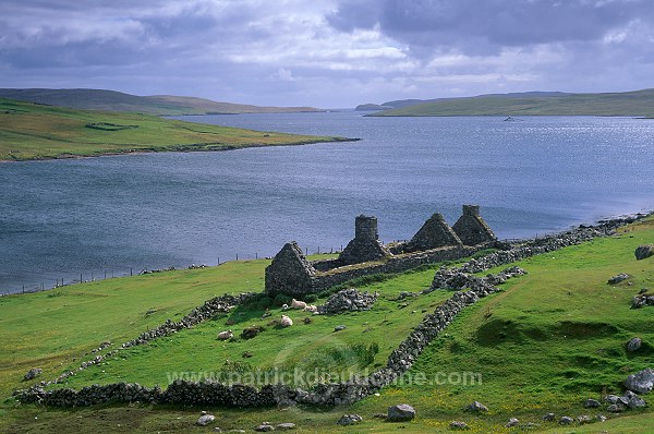 Ruined crofthouse, West Mainland, Shetland -  Fermette en ruines  13738
