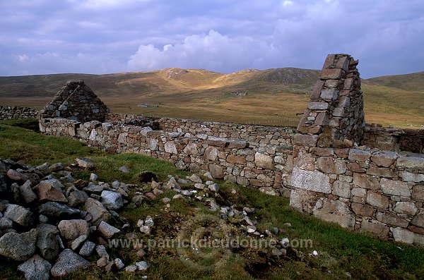 Ruined crofthouse, West Mainland, Shetland -  Fermette en ruines 13747