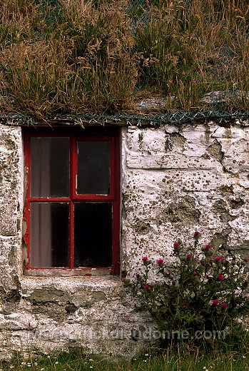 Abandoned house, West Burra, Shetland - Maison abandonnée  13758