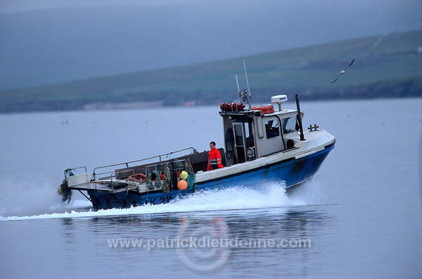 Fishing boat, Shetland, Scotland - Bateau de pêche dans les Shetland  13813