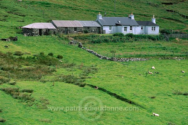 Typical crofthouse, South mainland, Shetland -  Maison traditionnelle 13918