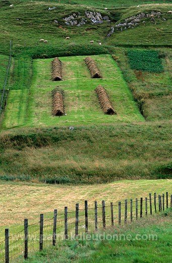Crofting system, Shetland -  Cultures traditionnelles, Shetland 13924