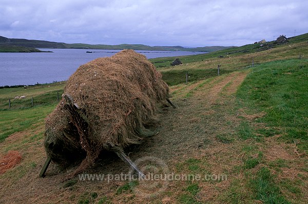 Hay stacks and fishing nets, Shetland - Foin et filets à Vidlin 13926