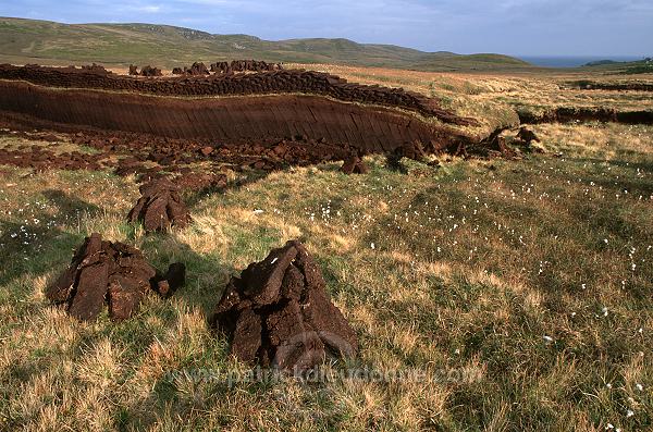 Peat cutting, Shetland, Scotland - Récolte de la tourbe dans les Shetland  13930