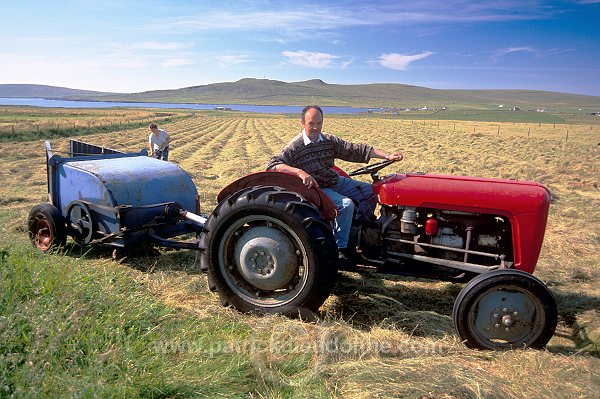 Crofter and old tractor, Unst, Shetland - Crofter et vieux tracteur  13952