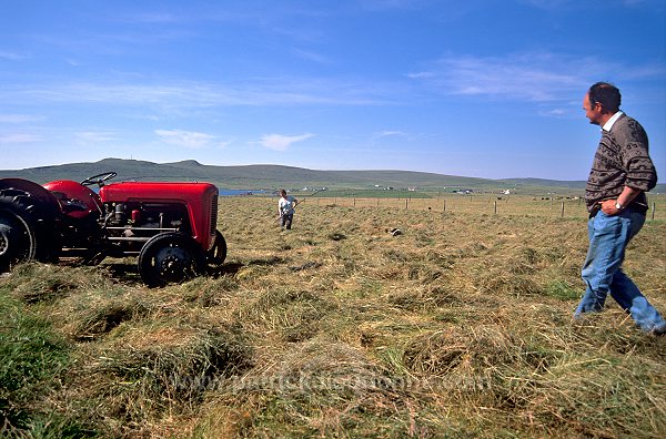 Crofter and old tractor, Unst, Shetland - Crofter et vieux tracteur  13953