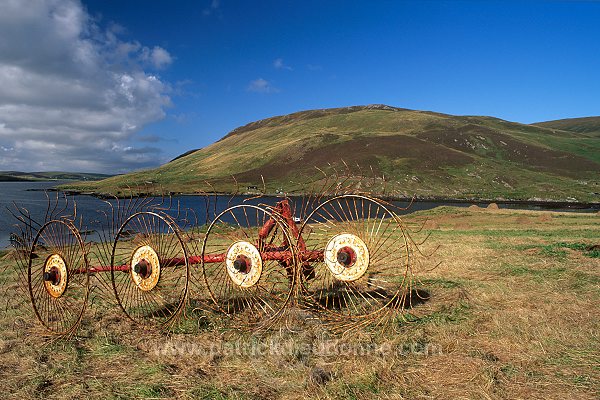 Crofting land, near Quarff, S. Mainland, Shetland - Terres agricoles près de Quarff  13954