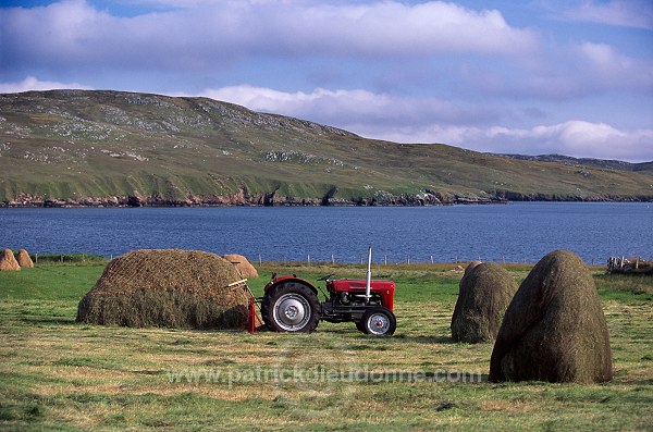 Crofting land, Northmavine, Shetland - Terres agricoles sur Northmavine  13956