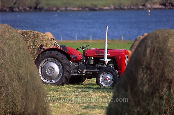 Crofting land, Northmavine, Shetland - Terres agricoles sur Northmavine 13957