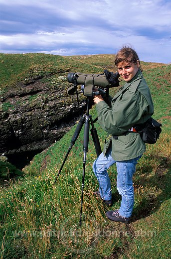 Birdwatching in Shetland, Scotland - Observation des oiseaux, Shetland  13966