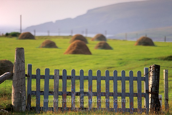 Crofting system, Unst, Shetland - Cultures traditionnelles sur Unst  13976