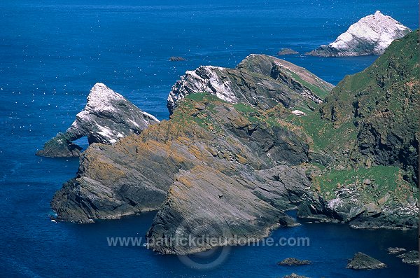 Hermaness Nature Reserve, Unst, Shetland - Reserve d'Hermaness, Unst  13978