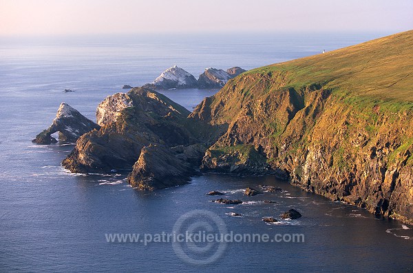 Hermaness Nature Reserve, Unst, Shetland - Reserve d'Hermaness, Unst  13979