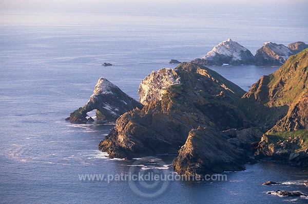 Hermaness Nature Reserve, Unst, Shetland - Reserve d'Hermaness, Unst 13980