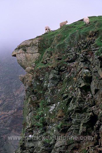 Hermaness Nature Reserve, Unst, Shetland - Hermaness, Shetland 13992