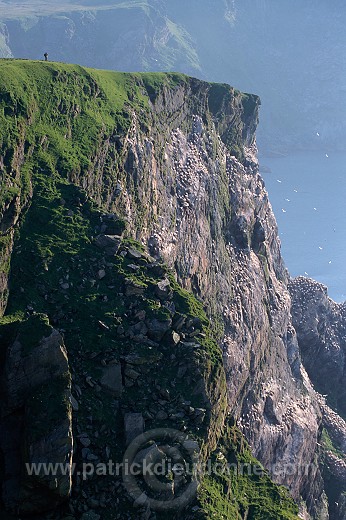 Hermaness Nature Reserve, Unst, Shetland - Hermaness, Shetland 13998