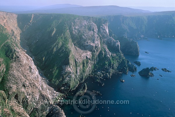 Hermaness Nature Reserve, Unst, Shetland - Hermaness, Shetland  14017
