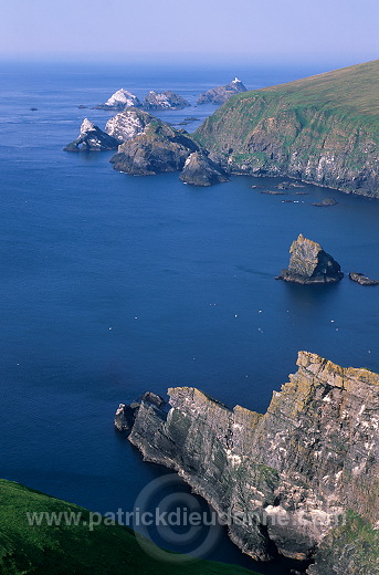 Hermaness Nature Reserve, Unst, Shetland - Reserve d'Hermaness, Unst  14022