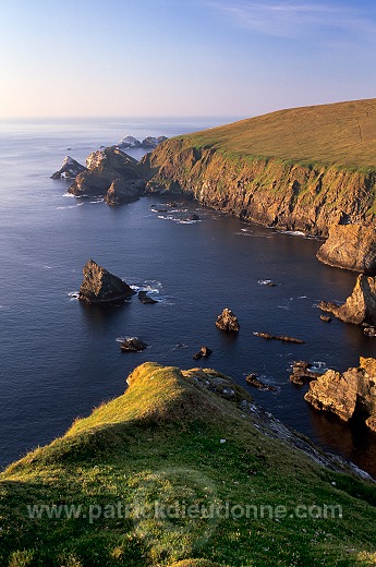 Hermaness Nature Reserve, Unst, Shetland - Reserve d'Hermaness, Unst 14024