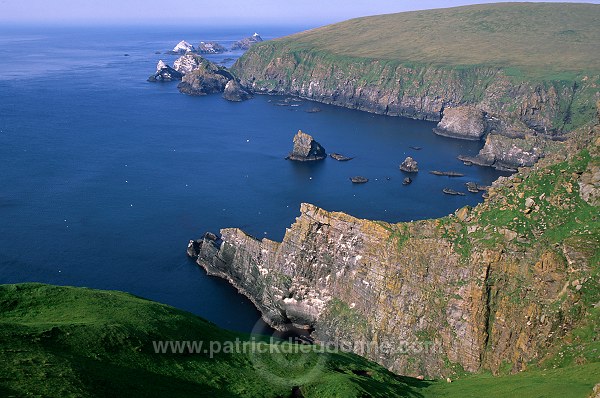 Hermaness Nature Reserve, Unst, Shetland - Reserve d'Hermaness, Unst  14025