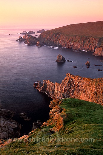 Hermaness Nature Reserve, Unst, Shetland - Reserve d'Hermaness, Unst  14027