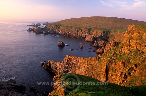 Hermaness Nature Reserve, Unst, Shetland - Reserve d'Hermaness, Unst  14030