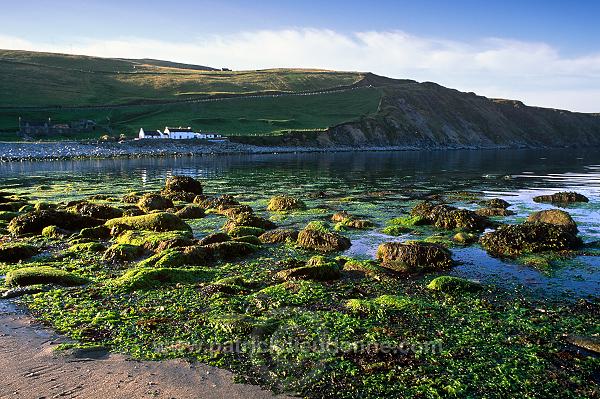 Norwick Beach and house, Unst, Shetland - Plage de Norwick, Unst 14056