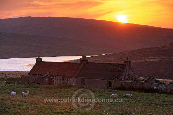 Sunset, abandoned house, Unst - Couchant et maison abandonnée, Unst  14065